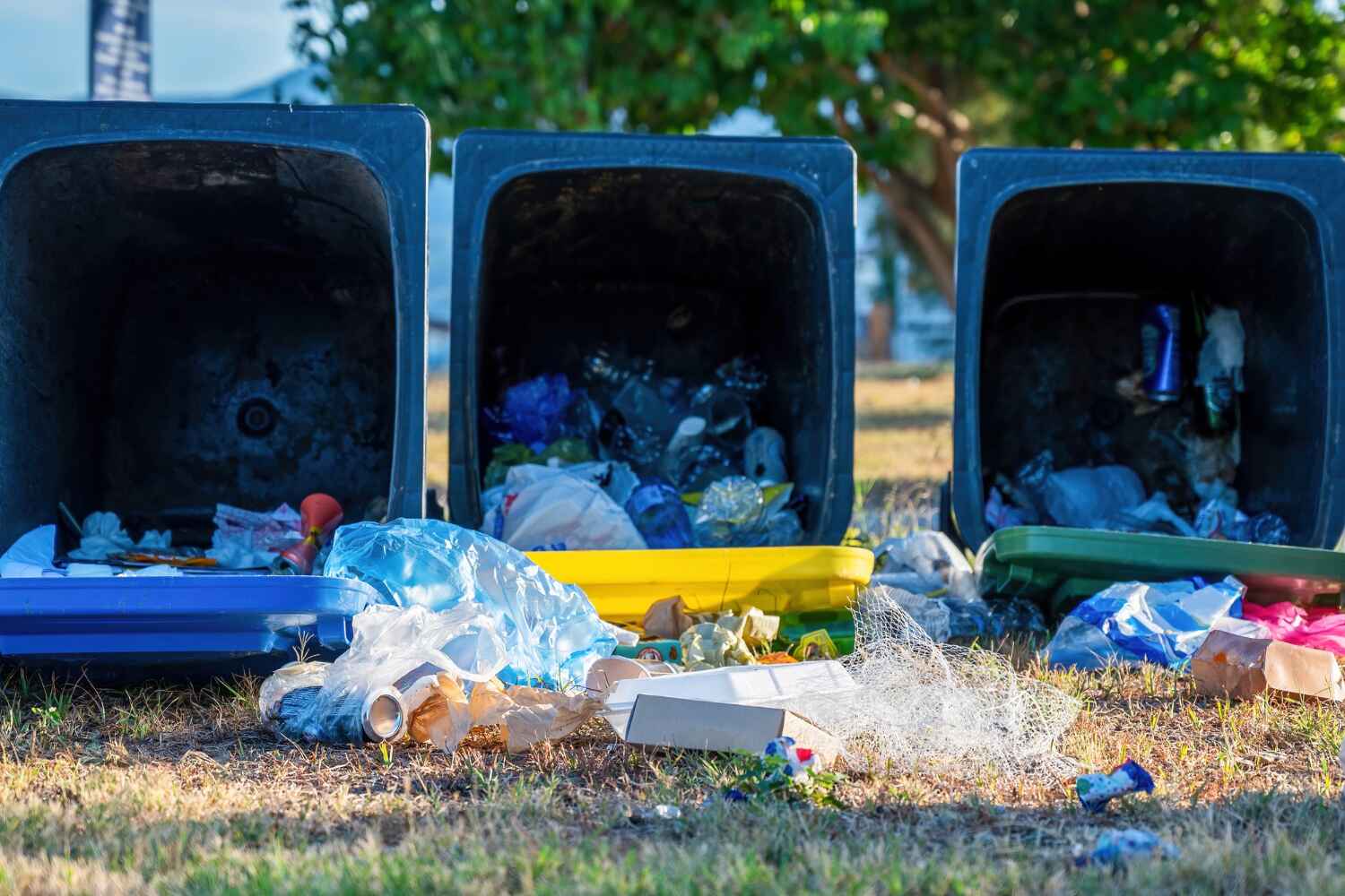 Whitefish Bay, WI Junk Removal Company